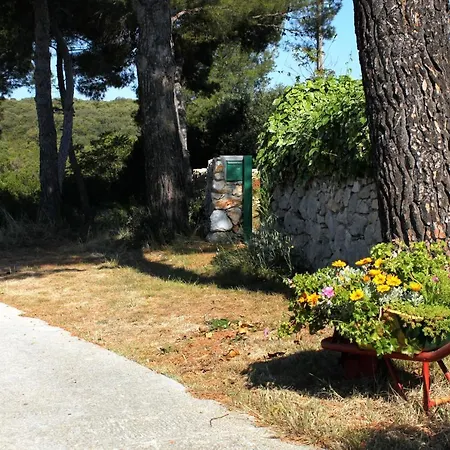 With Parking Space - 6249 Διαμέρισμα